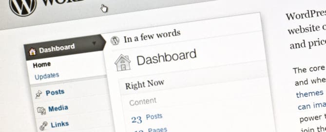 WordPress theme laden