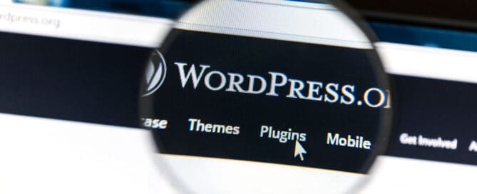 WordPress-mit-Lupe-hervorgehoben