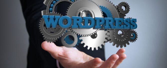 WordPress Logo Mann